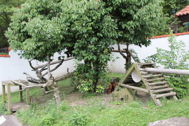 f0221023_372749.jpg