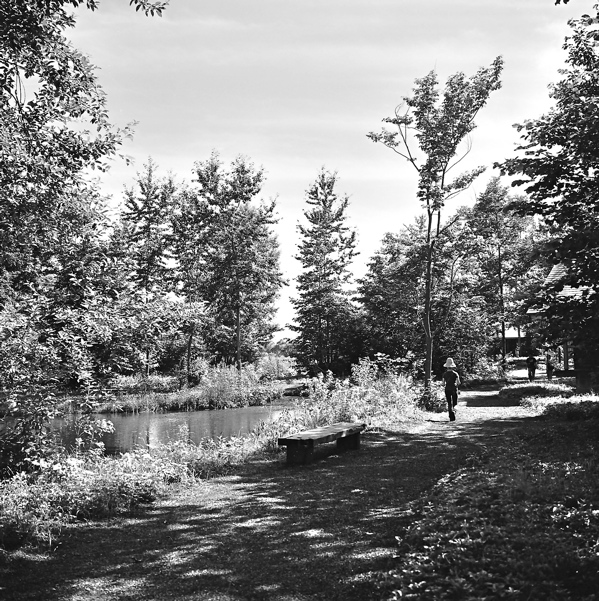 f0182924_23291851.jpg