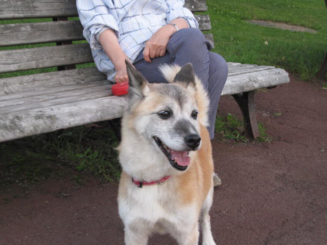e0191826_2327372.jpg