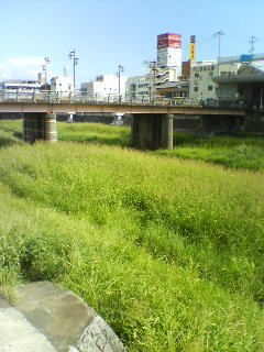 a0098027_1605599.jpg