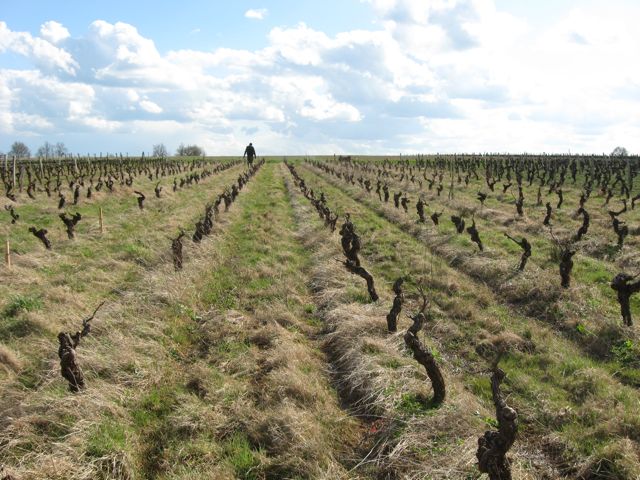 c0188527_551460.jpg