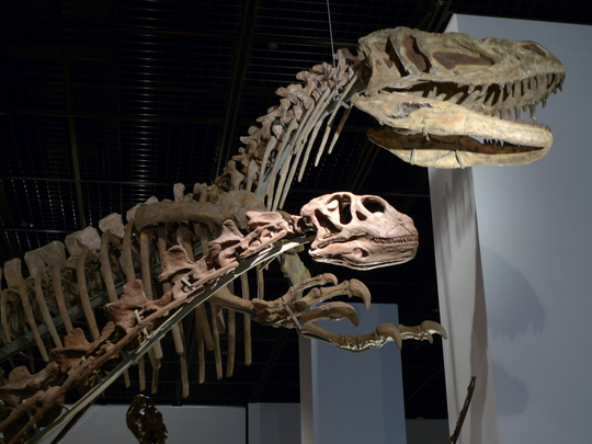 d0054830_852652.jpg