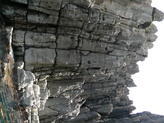 d0054830_854180.jpg