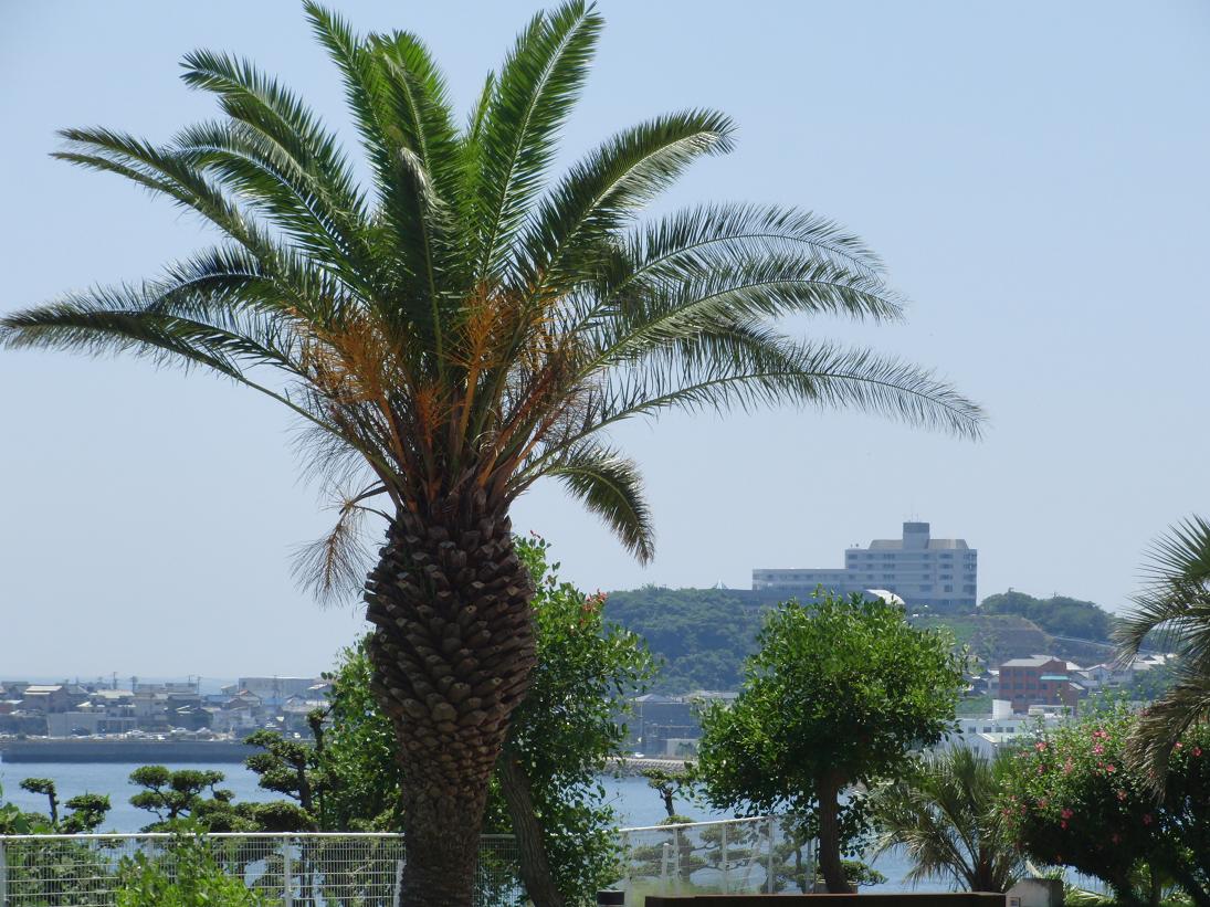 f0124830_154308.jpg