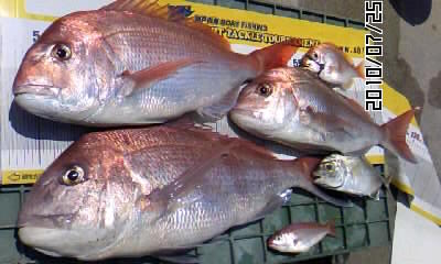 a0132631_028845.jpg