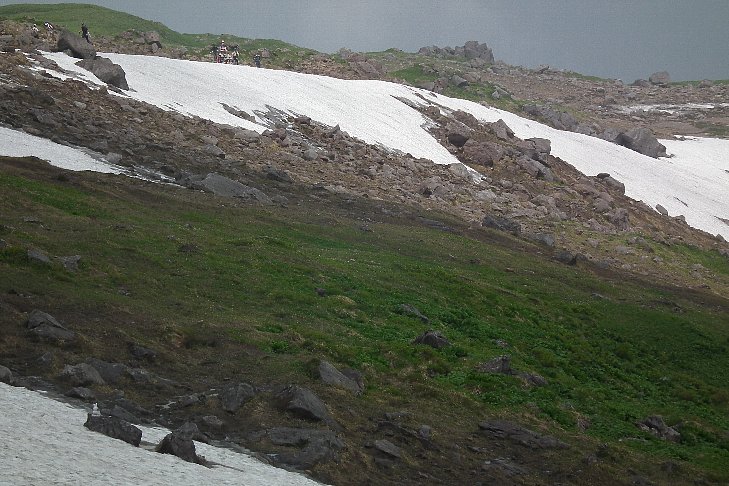 f0118332_20264170.jpg