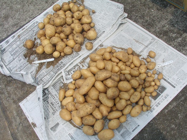 f0002833_13335534.jpg