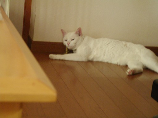 f0002833_13371368.jpg