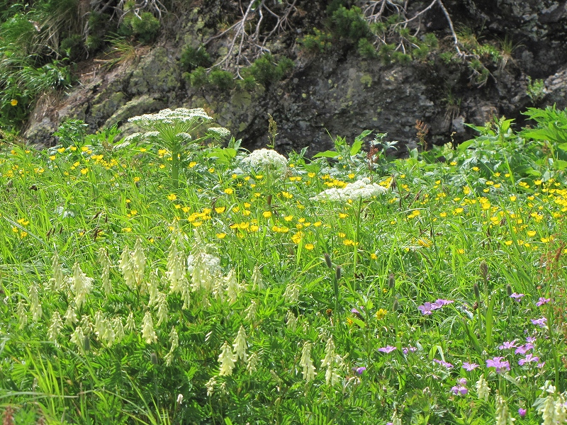 b0097836_13555260.jpg