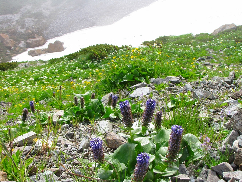 b0097836_14105774.jpg