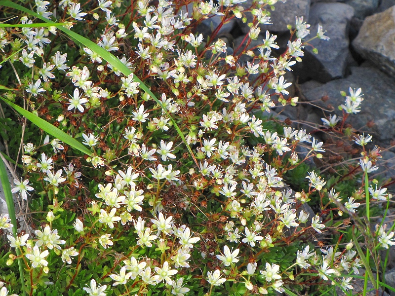 b0097836_14121277.jpg