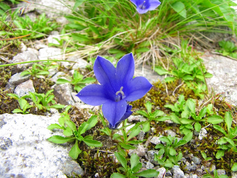 b0097836_14161511.jpg