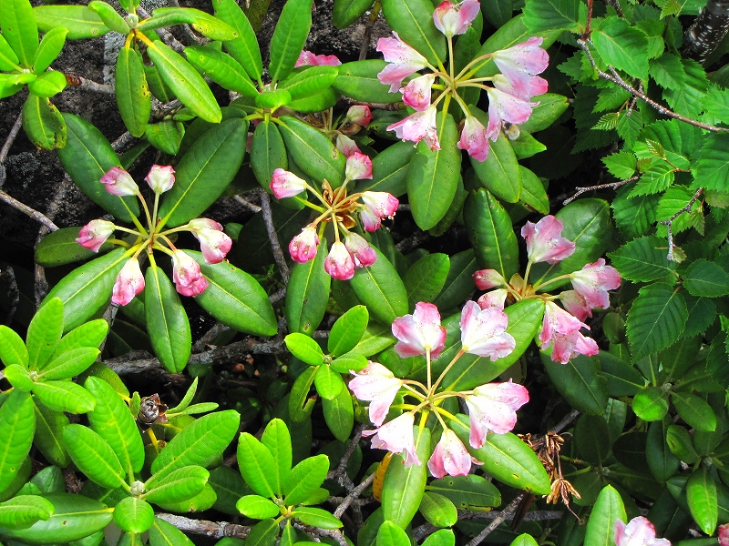 b0097836_1438891.jpg
