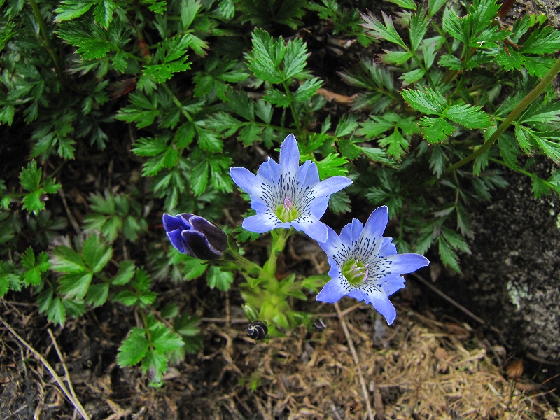 b0097836_14424271.jpg