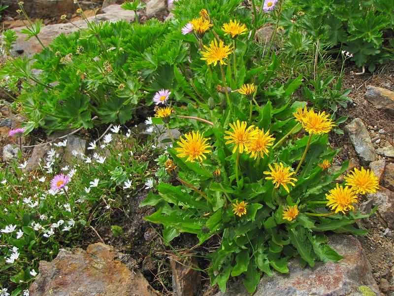 b0097836_1443254.jpg