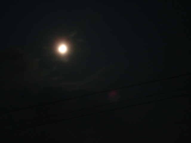 b0131436_2249950.jpg