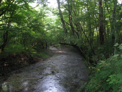 c0077338_643226.jpg