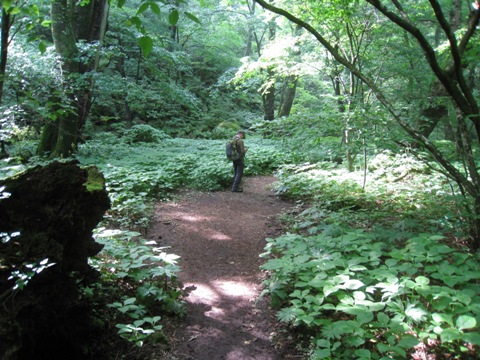 c0077338_6433490.jpg