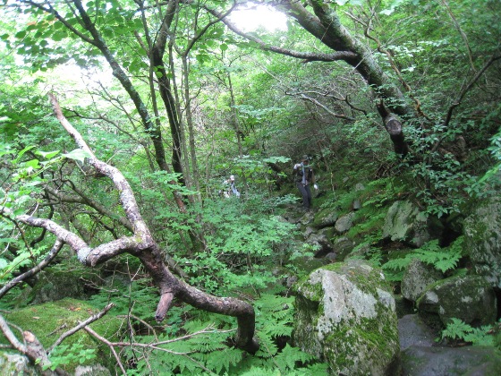 c0077338_6504645.jpg