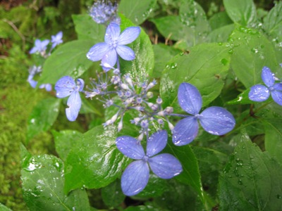 c0077338_753449.jpg
