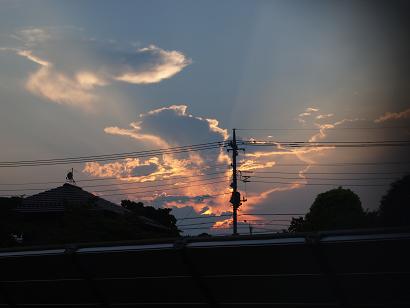 f0182239_17171630.jpg