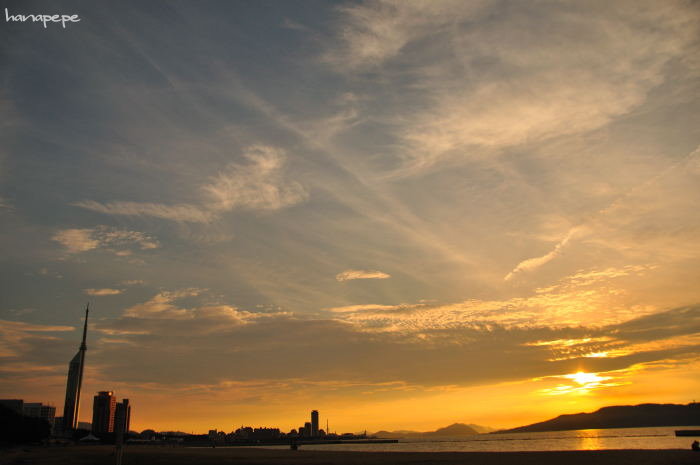 a0145741_1535884.jpg