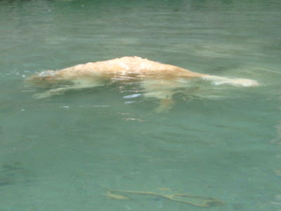 e0158841_10102142.jpg