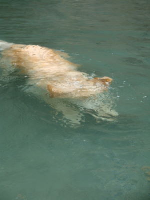 e0158841_10123211.jpg