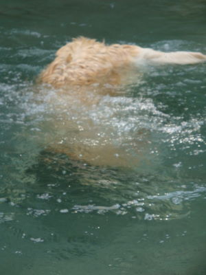 e0158841_1094781.jpg