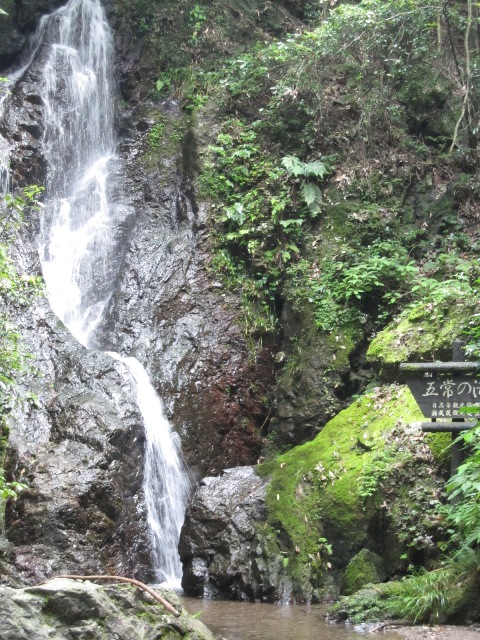 d0124543_0112665.jpg