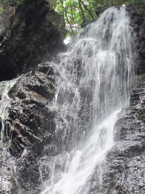 d0124543_0113337.jpg