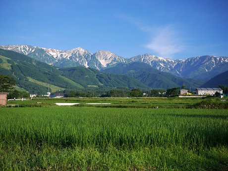 c0057946_22435741.jpg