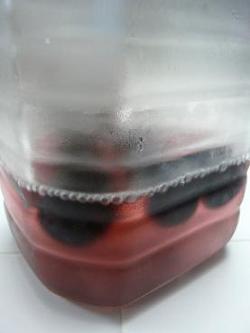 e0130347_114598.jpg