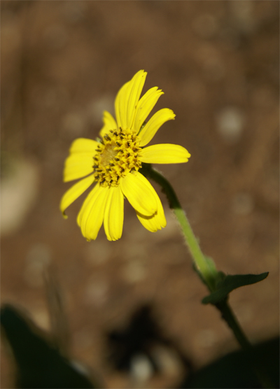 f0214649_3371098.jpg