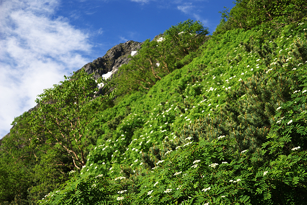 f0214649_411188.jpg