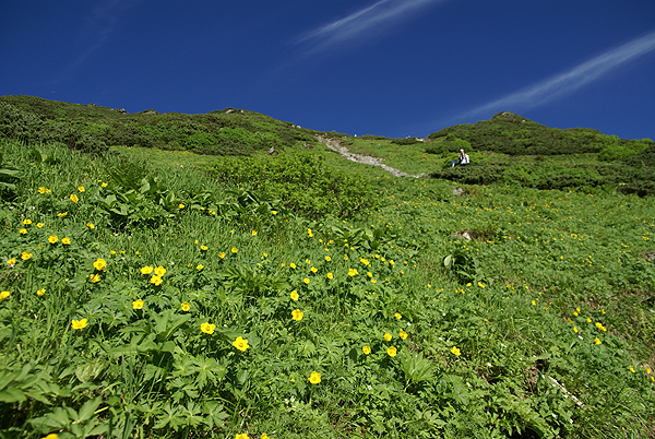 f0214649_4131760.jpg