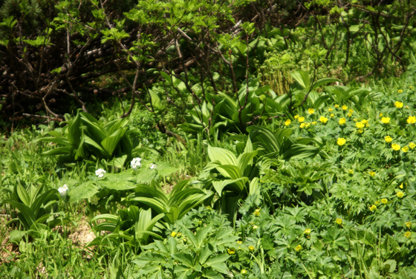 f0214649_4162671.jpg
