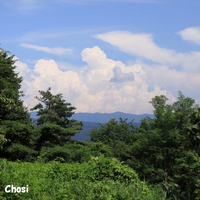 c0004750_1151115.jpg