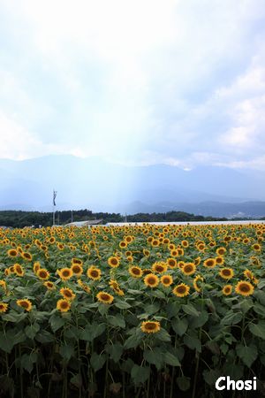 c0004750_1216196.jpg