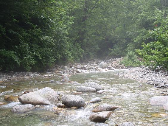 b0177355_22294920.jpg