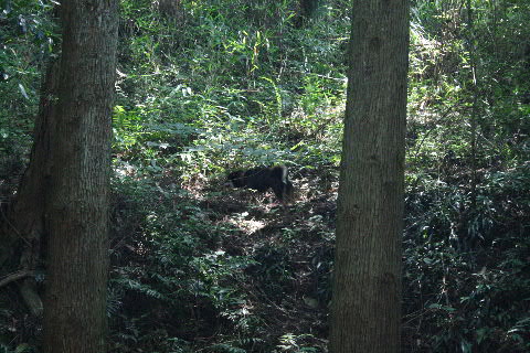 b0137459_0431450.jpg