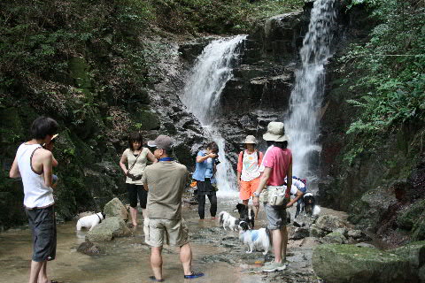 b0137459_0453864.jpg