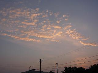 f0221360_1613642.jpg