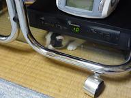f0221360_16241981.jpg