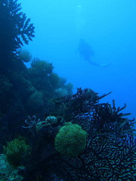b0062363_2255729.jpg