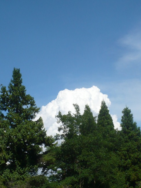 a0063364_23253813.jpg