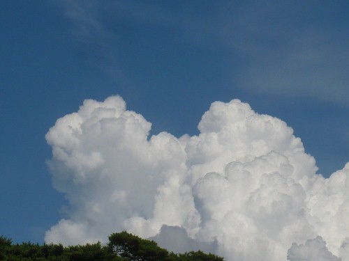 a0063364_23261078.jpg
