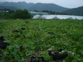 f0055264_22131151.jpg
