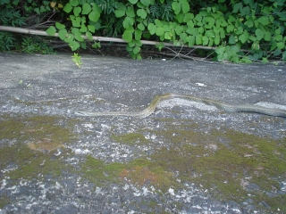 f0055264_2243493.jpg