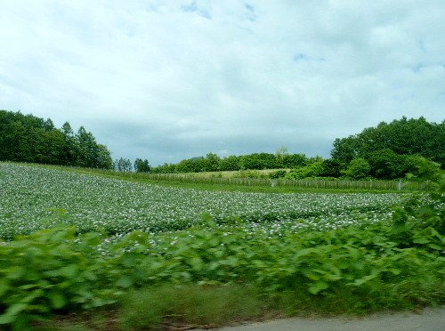 d0084473_2146264.jpg